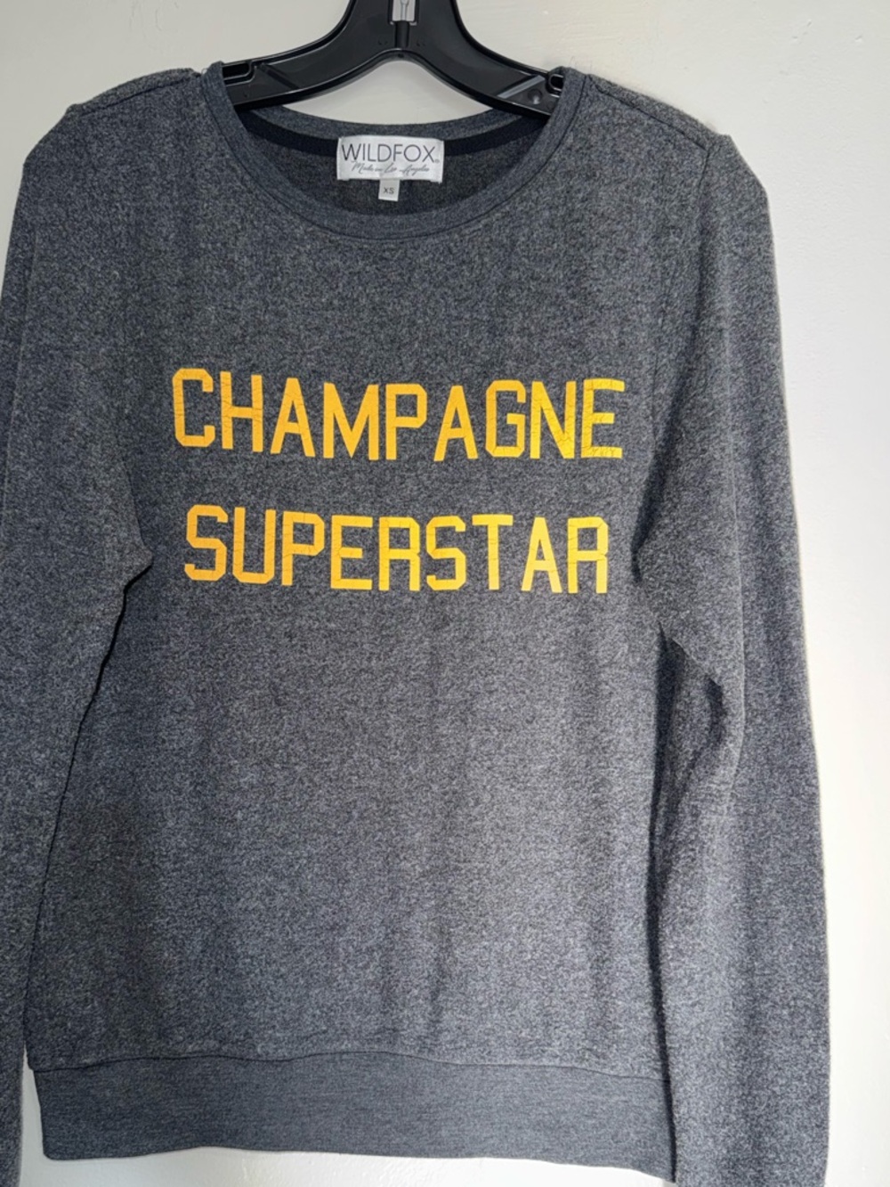 Wildfox Champagne Superstar Sweatshirt in Charcoal Gray - Picture 4 of 9